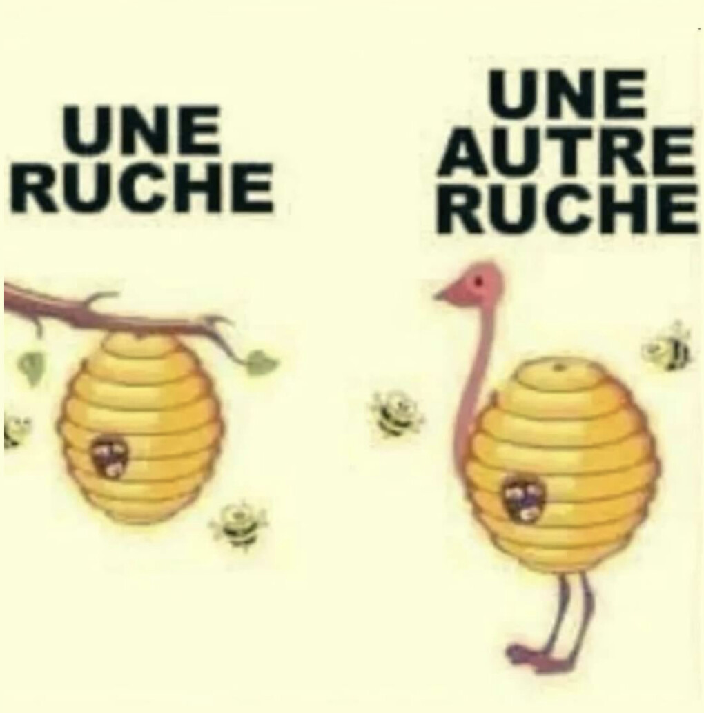 6177407.png 6177407.png