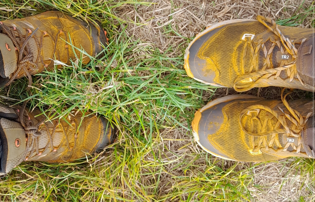 6177450.jpg 6177450.jpg