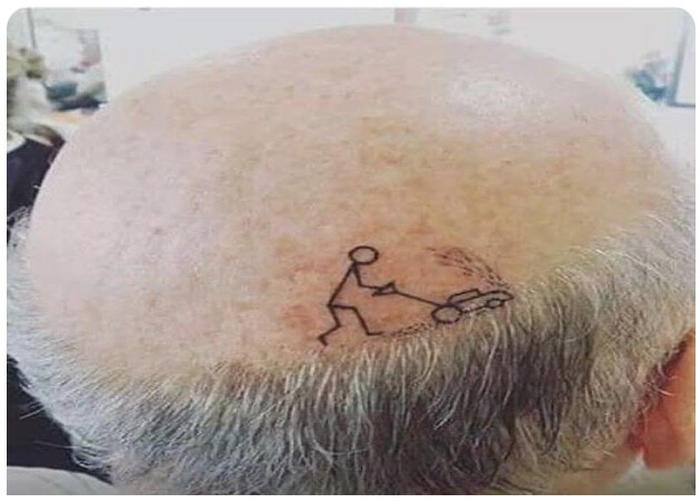 6178686.jpeg 6178686.jpeg