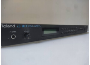 Roland D-110 (35040)