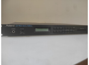 Roland D-110 (67912)