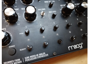 Moog Music DFAM (Drummer From Another Mother) (48592)