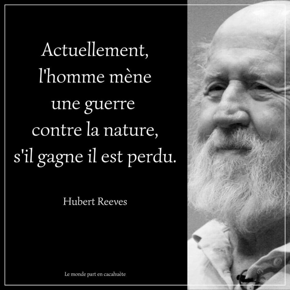 6179162.jpg 6179162.jpg