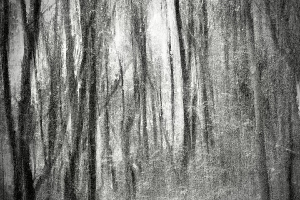 6179753.jpeg 6179753.jpeg