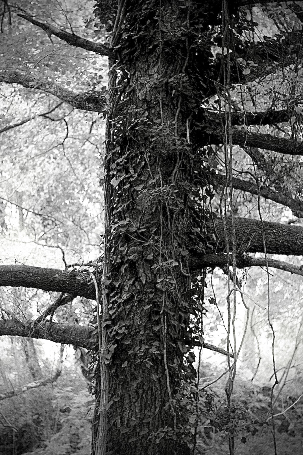 6179777.jpeg 6179777.jpeg