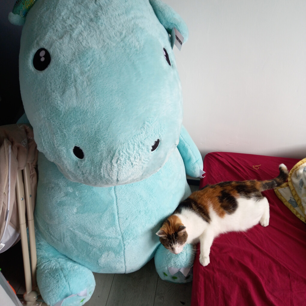 6180437.jpg 6180437.jpg