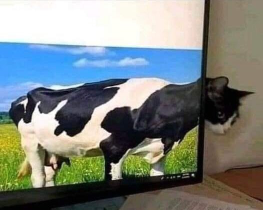 6180534.jpg 6180534.jpg