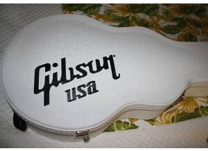 Gibson Dark Fire (62082)