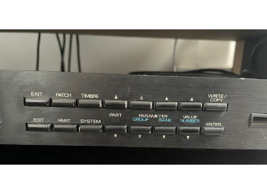 Roland D-110 (92396)