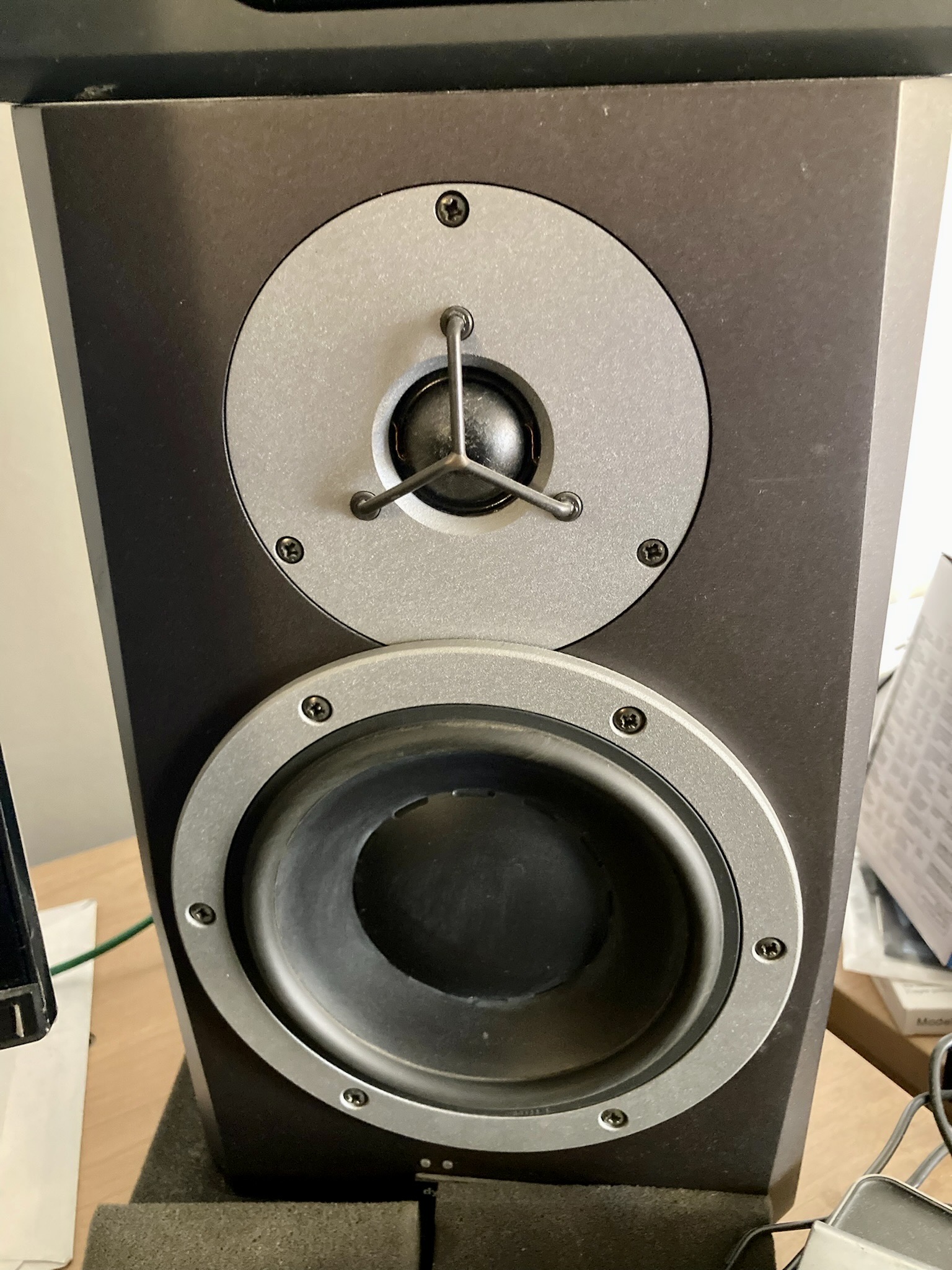 Enceintes de monitoring Dynaudio BM6a MkII
