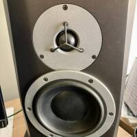Enceintes de monitoring Dynaudio BM6a MkII