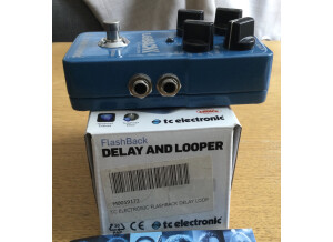 TC Electronic Flashback Delay (13755)
