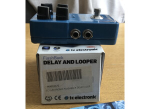 TC Electronic Flashback Delay (90873)