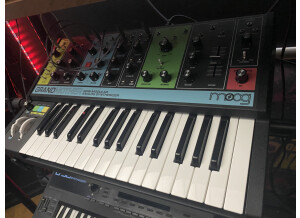 Moog Music Grandmother (95550)