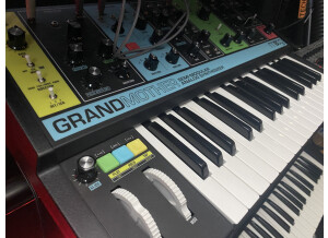 Moog Music Grandmother (38226)