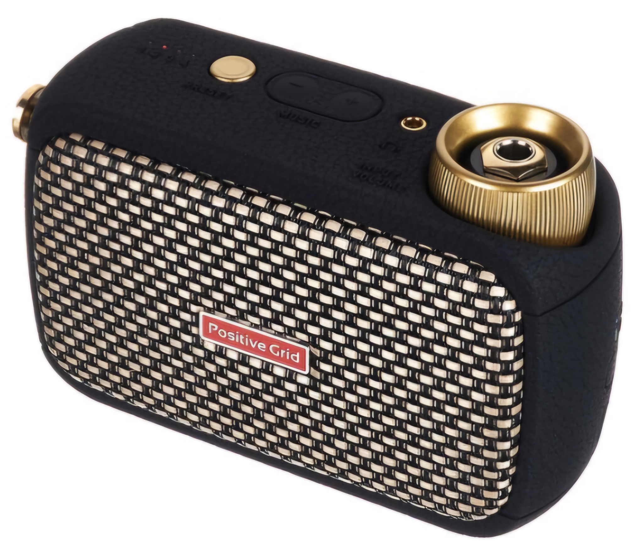 Positive Grid Spark Go