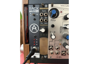Mutable Instruments Ears (89380)