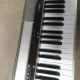 Privia PX-110 Privia PX-110