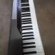 Privia PX-110 Privia PX-110