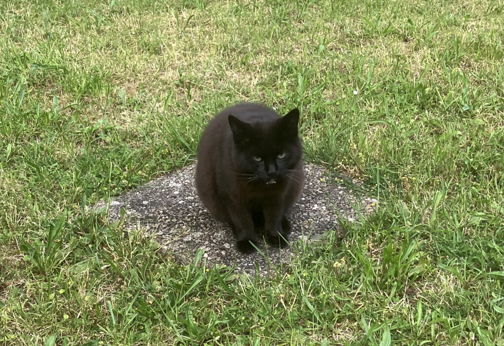 6186645.jpeg 6186645.jpeg