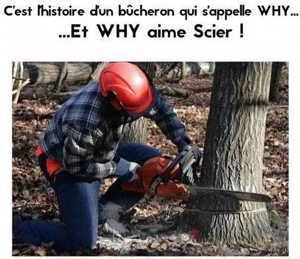 6186759.jpg 6186759.jpg