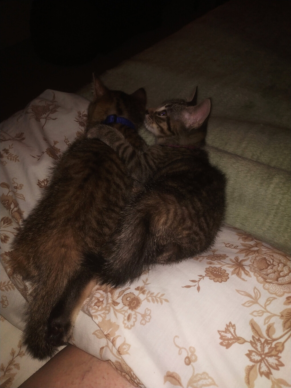 6188593.jpg 6188593.jpg