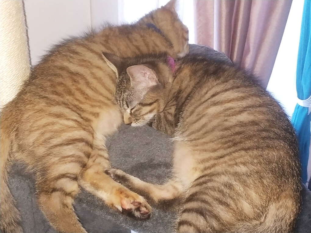 6188595.jpg 6188595.jpg