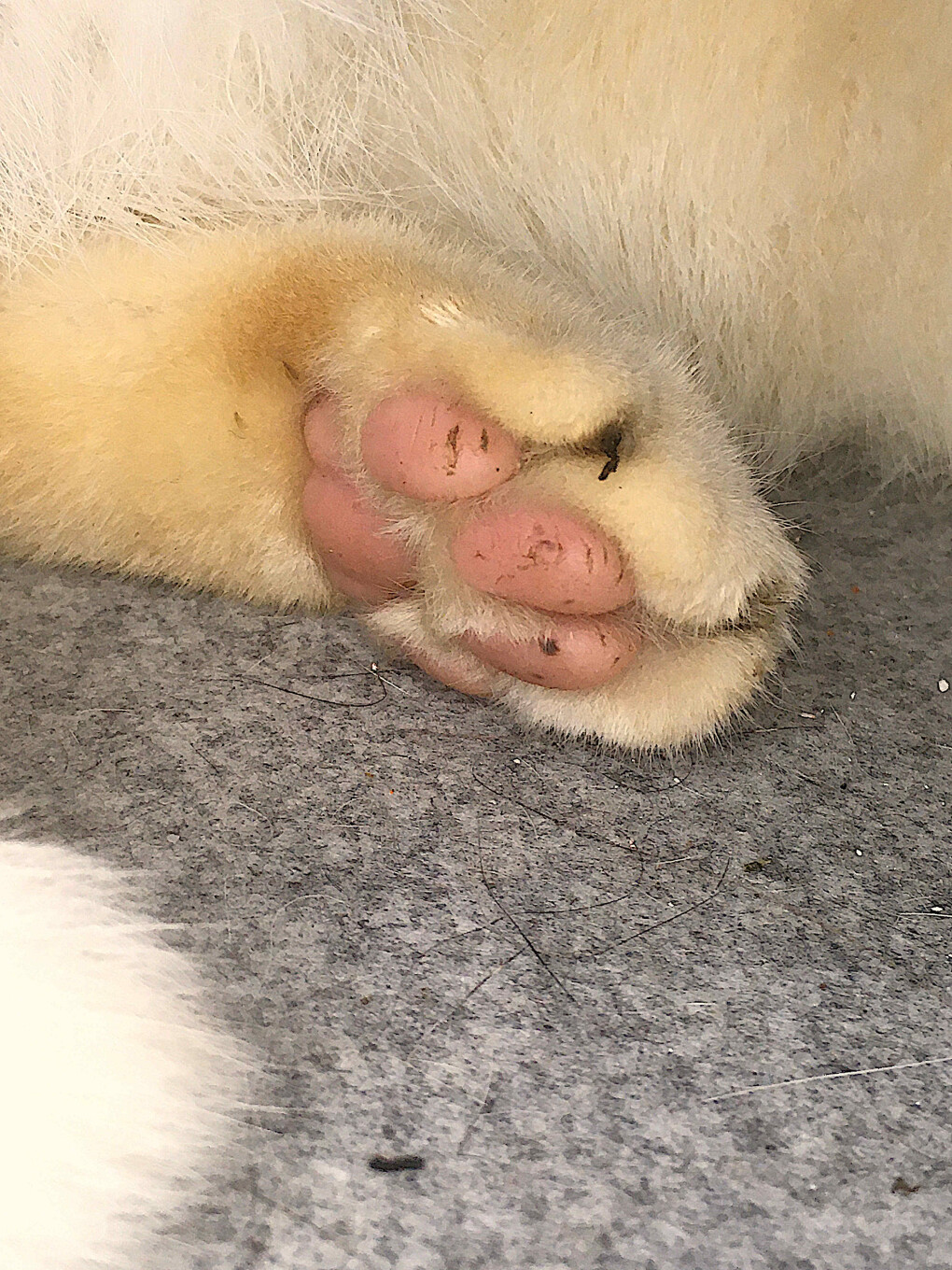 6188785.jpg 6188785.jpg