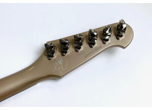 Epiphone Joe Bonamassa "Treasure" Firebird-I (30768)