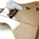 Joe Bonamassa "Treasure" Firebird-I Joe Bonamassa "Treasure" Firebird-I