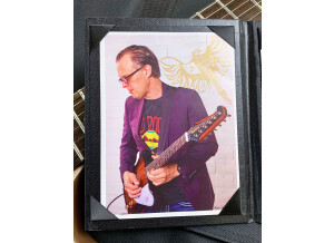 Epiphone Joe Bonamassa "Treasure" Firebird-I (55787)