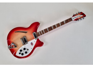 Rickenbacker 360 (17877)