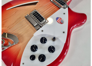 Rickenbacker 360 (391)
