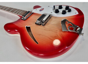 Rickenbacker 360 (11013)