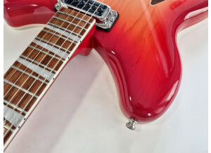 Rickenbacker 360 (86591)