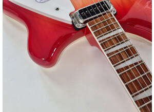 Rickenbacker 360 (591)