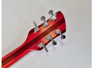 Rickenbacker 360 (98329)