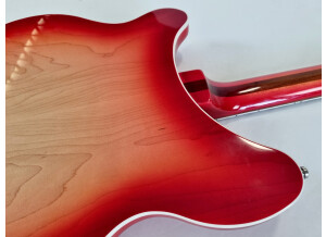 Rickenbacker 360 (16567)