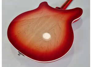 Rickenbacker 360 (3507)