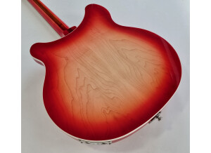 Rickenbacker 360 (19550)