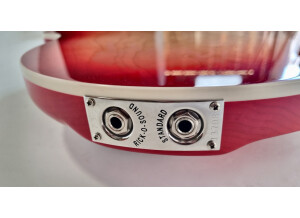 Rickenbacker 360 (71983)