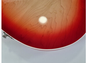 Rickenbacker 360 (71834)