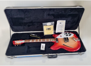 Rickenbacker 360 (1500)