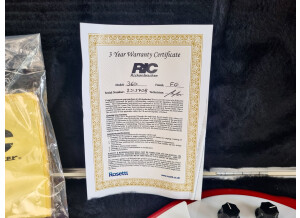 Rickenbacker 360 (50743)