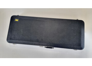 Rickenbacker 360 (55956)