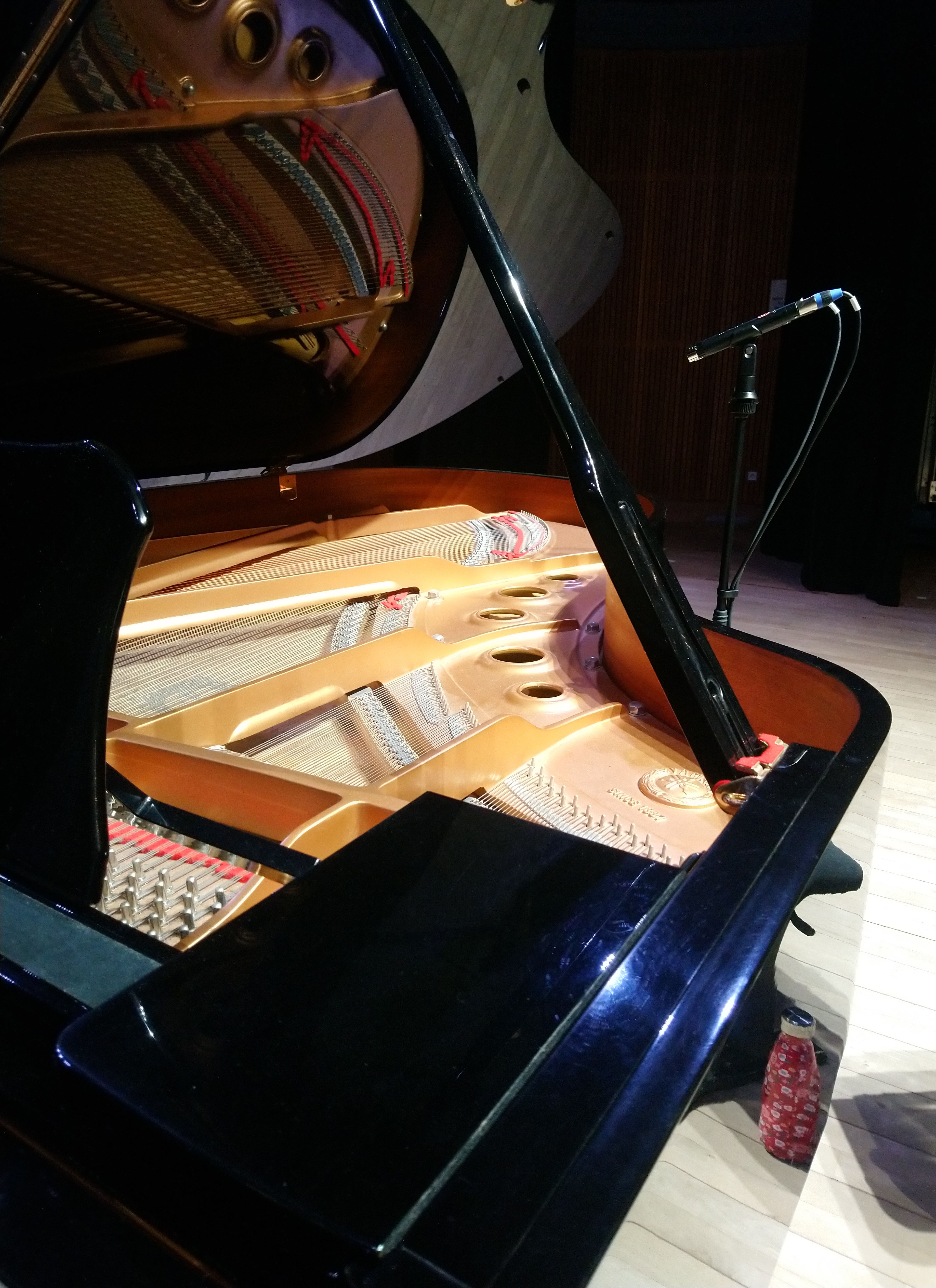 Lauten Audio LA-120 V2