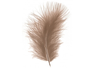 plume-courte-marabou