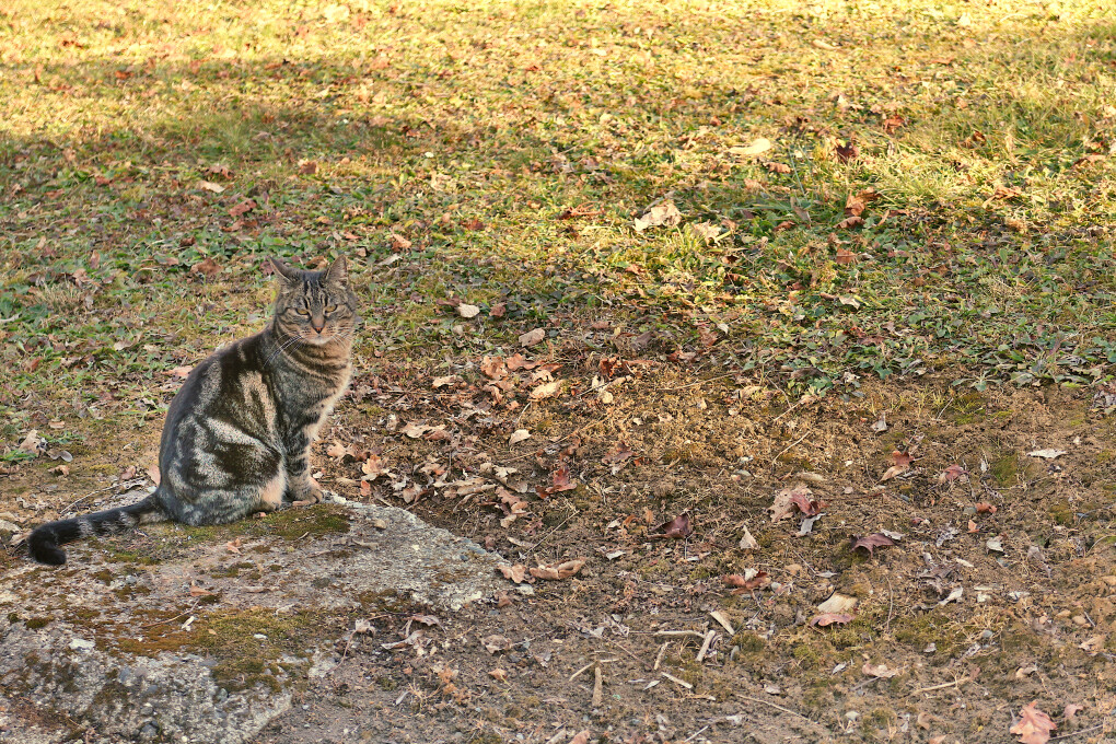 6192010.jpg 6192010.jpg