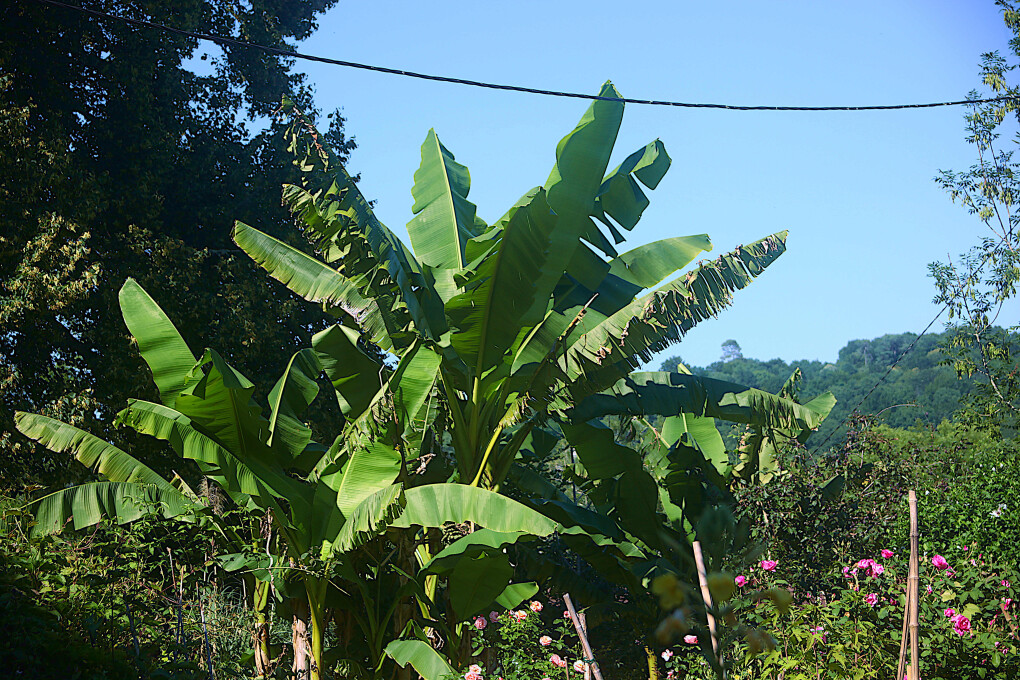 6192458.jpg 6192458.jpg