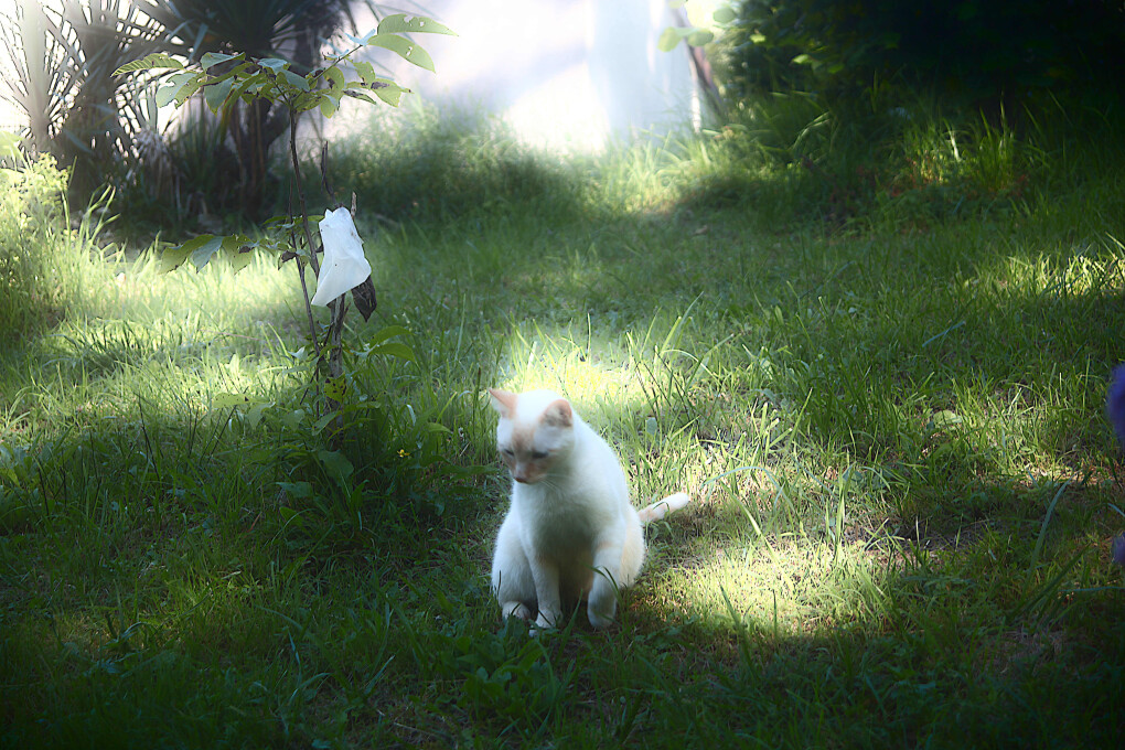 6192459.jpg 6192459.jpg